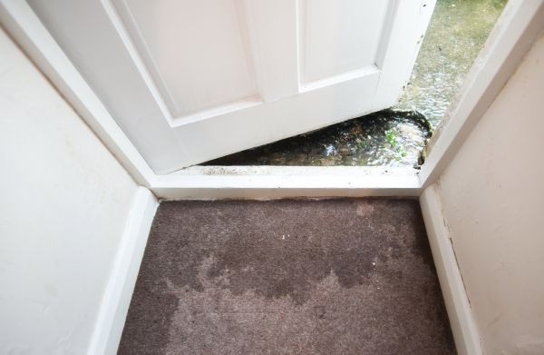 Wet Carpet Restoration in Fontana