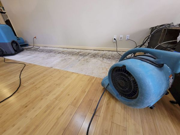 Cost of Water Damage Mitigation in Fontana