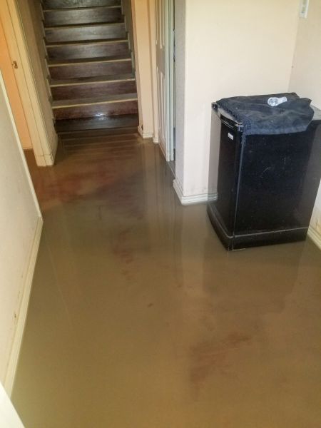 Cost of Emergency Water Removal in Fontana
