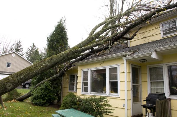 Cost of Storm Damage Mitigation in Fontana